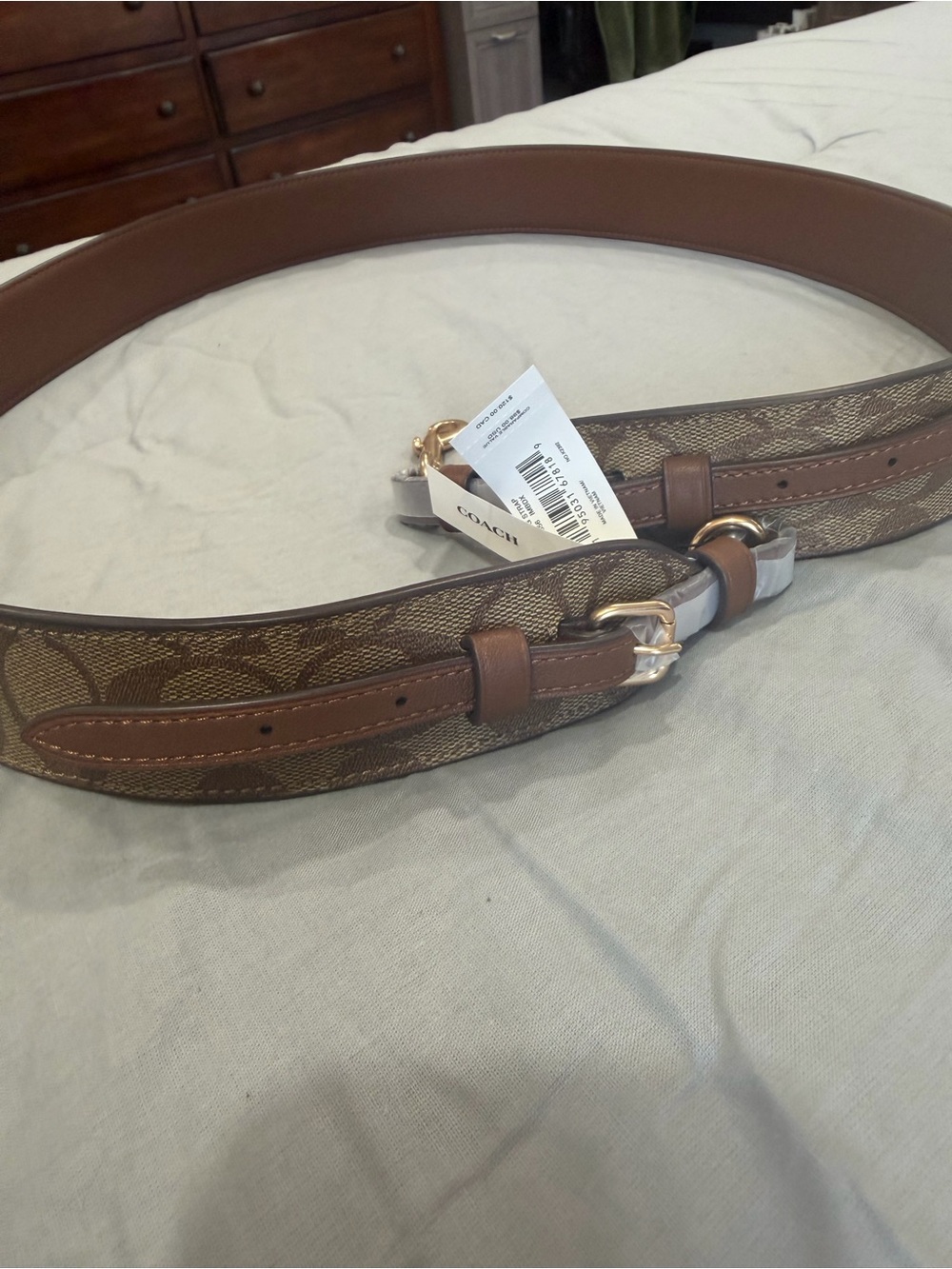 Brown Signature Canvas Strap - Picture 4 of 4